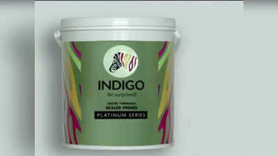 IPO रंग उद्योगात गुंतवणुकीची संधी; इंडिगो पेंट्स लिमिटेडची समभाग विक्री, जाणून घ्या तपशील