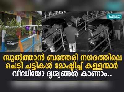 ബത്തേരി നഗരത്തിലെ ചെടി ചട്ടികൾ മോഷ്ടിക്കുന്ന കള്ളന്മാരുടെ ദൃശ്യങ്ങൾ