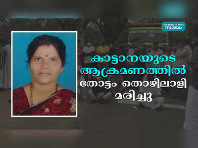 കാട്ടാനയുടെ ആക്രമണത്തില്‍ തോട്ടം തൊഴിലാളി മരിച്ചു