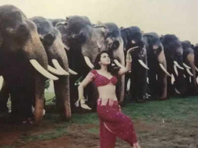 प्रीति जिंटा को याद आए डेब्यू फिल्म दिल से की शूटिंग के दिन, लिखा- हाथी भी सोच रहे होंगे कि...