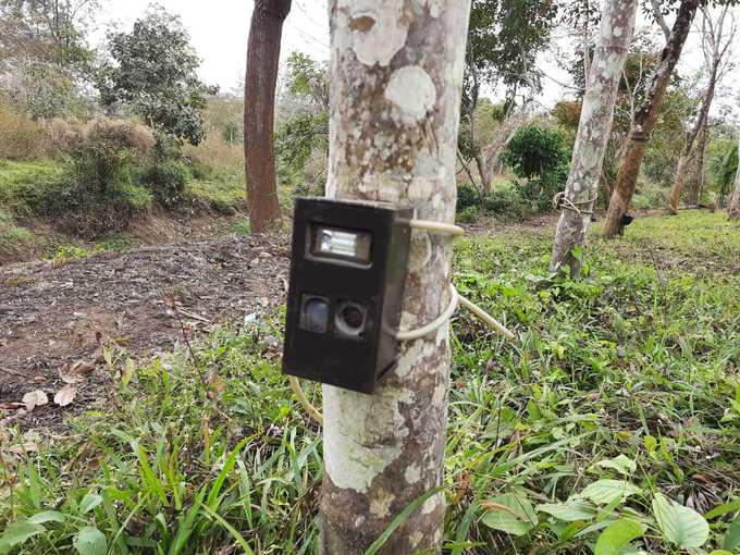 ​ഫോറസ്റ്റ് റെയ്ഞ്ച് ഓഫീസ‍‍ർക്കും വാച്ചര്‍ക്കും പരിക്ക്