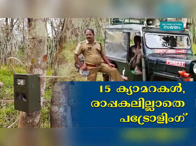 മുള്ളന്‍കൊല്ലിയെ വിറപ്പിച്ച കടുവ തിരിച്ചെത്തുമോ? ആശങ്ക