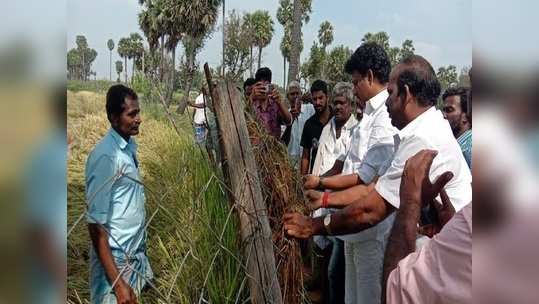 தேர்தல் நேரத்தில் விவசாயிகளுக்காக களமிறங்கிய திமுக அன்பில் மகேஷ் பொய்யாமொழி!