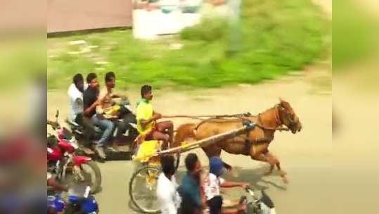 ரேக்ளா ரேஸ் அதிரடி காட்சிகள், பரிசுகளை அள்ளிச் சென்ற குதிரைகள்!