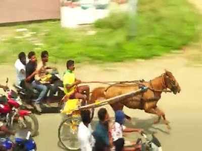 ரேக்ளா ரேஸ் அதிரடி காட்சிகள், பரிசுகளை அள்ளிச் சென்ற குதிரைகள்!