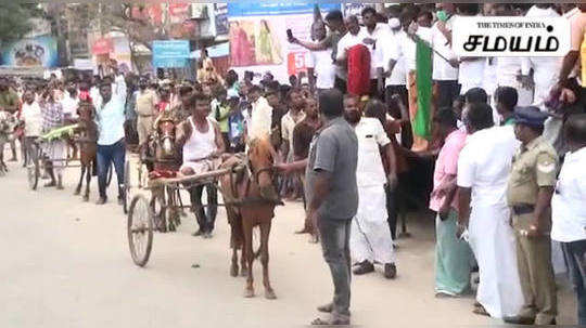 ரேக்ளா ரேஸ், படத்தில் வருவதை விட சூப்பர் காட்சிகள்!