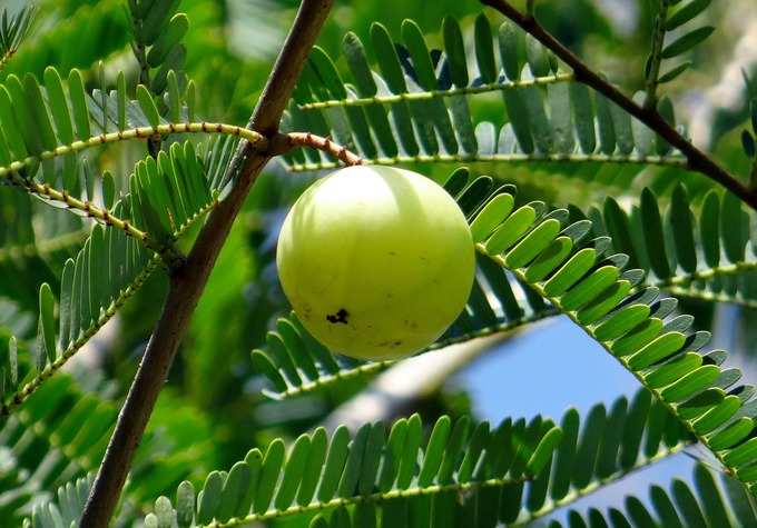 ​ಆರೋಗ್ಯಕ್ಕೆ ಈ ರೀತಿ ಹಾನಿಯಾಗುತ್ತದೆ