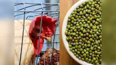 Bird Flu में नॉन वेज खाकर न लें रिस्‍क, चिकन और अंडे से कहीं ज्‍यादा प्रोटीन है इन चीजों में