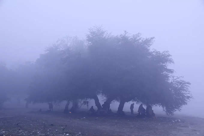 കാലാവസ്ഥാ വ്യതിയാനം