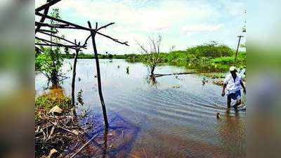 కృష్ణా జిల్లా: చేపలు పట్టడానికి వెళ్లిన మత్స్యకారుడికి షాక్.. భయంతో పరుగులు, ఏమైందంటే!