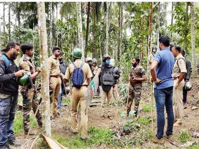 കൊളവള്ളിയില്‍ വീണ്ടും കടുവയെ കണ്ടെന്ന വാര്‍ത്ത വ്യാജം; ഭീതി വേണ്ടെന്ന് വനം വകുപ്പ്‌