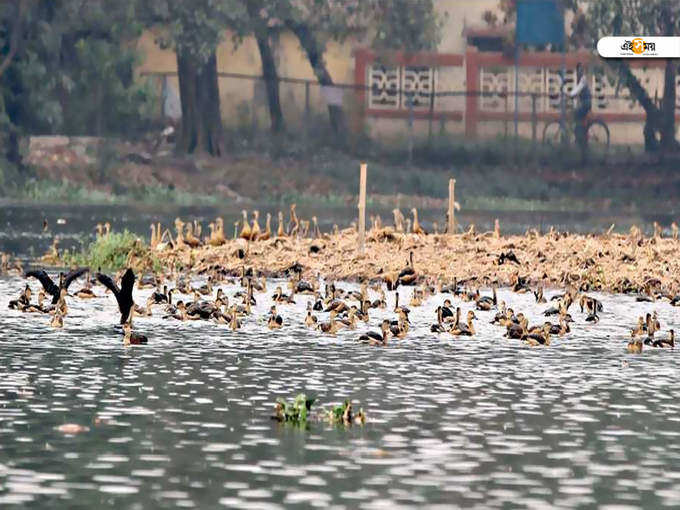 santragachi lake