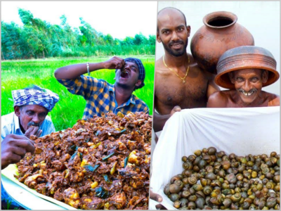 കൊമേഴ്സിൽ എംഫിൽ ഡിഗ്രി; യൂട്യൂബിലൂടെ വരുമാനം 10 ലക്ഷം രൂപ