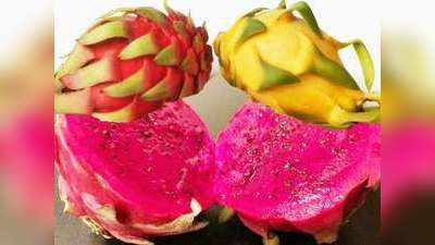 Dragon Fruit: गुजरात के CM रुपाणी ने इस मशहूर फल का नाम बदल कमलम किया