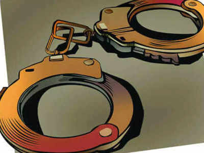 Nagpur Crime: नागपुरात पोलीस पथकावर हल्ला; डीजे बंद करायला सांगताच...