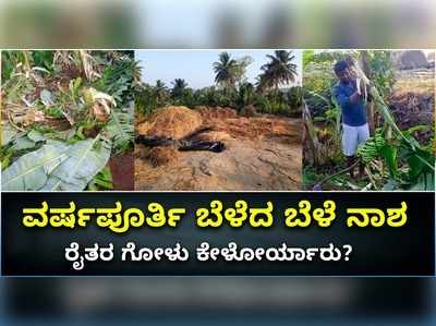 ವರ್ಷಪೂರ್ತಿ ಬೆಳೆದ ಬೆಳೆ ನಾಶ; ರೈತರ ಗೋಳು ಕೇಳೋರ್ಯಾರು?