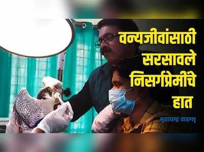 प्राणी-पक्षांवर उपचारासाठी  देशातील पाहिले ट्रान्झिट ट्रिटमेंट सेंटर सज्ज