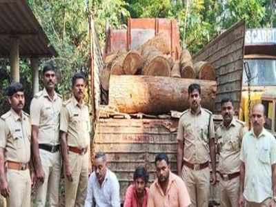 രേഖകളില്ലാതെ മരം മുറിച്ച് കടത്തി; മോഷണ സംഘത്തില്‍ പഞ്ചായത്തംഗവും