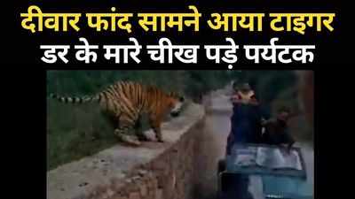 Surprising Video: जब टाइगर को अचानक सामने देख चीख पड़े पर्यटक