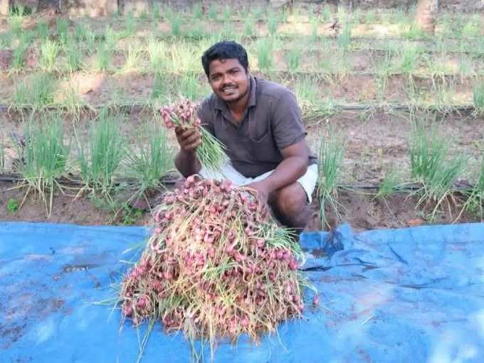 ಹೆಚ್ಚಿನ ರೈತರಿಗೆ ಲಾಭ