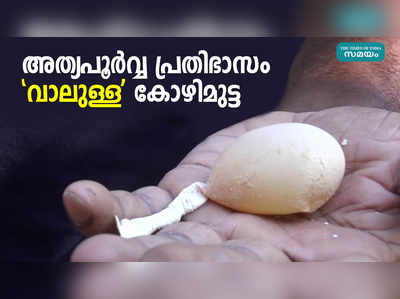 വാലുള്ള കൗതുക കോഴിമുട്ട