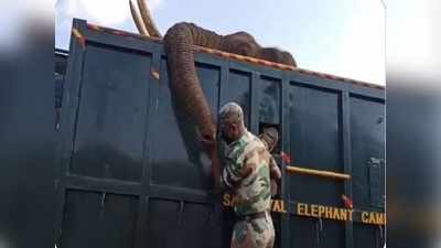 ಆನೆಗೆ ಬೆಂಕಿ ಹಚ್ಚಿದ ದುರುಳರು ಅಂದರ್: ಮೃತ ಆನೆಯ ಮುಂದೆ ಅರಣ್ಯ ಅಧಿಕಾರಿಯ ರೋದನ!