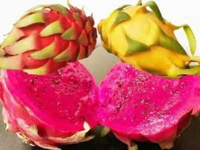 Dragon Fruit: बिहार के इन जिलों में हो रही ड्रैगन फ्रूट की खेती, 1 पौधा 25 साल तक देता है फल