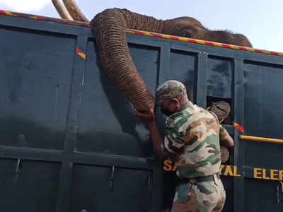 तमिलनाडुः हाथी मेरे साथी तुम क्यों चले गए... यह वीडियो आपको रुला देगा