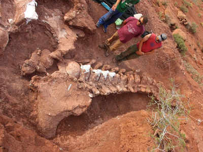 अर्जंटीना में मिले डायनोसॉर के 9.8 करोड़ साल पुराने अवशेष, हो सकता है धरती का सबसे विशाल जीव
