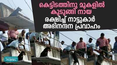 കെട്ടിടത്തിനു മുകളിൽ കുടുങ്ങിയ നായയ്ക്ക് രക്ഷകരായി നാട്ടുകാർ