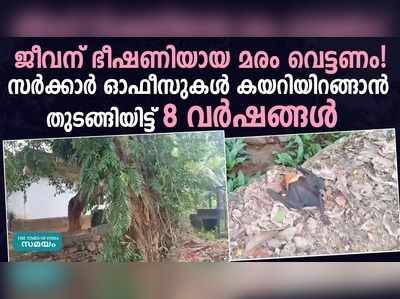 ജീവന് ഭീഷണിയായ മരം വെട്ടണം! സർക്കാർ ഓഫീസുകൾ കയറിയിറങ്ങാൻ തുടങ്ങിയിട്ട് 8 വർഷങ്ങൾ