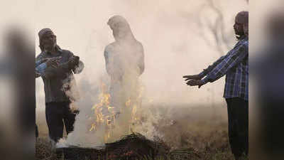 Bihar Weather Update: बिहार में कड़ाके की ठंड से लगातार गिर रहा पारा, घने कोहरे ने थामी रफ्तार