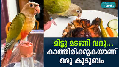 സംക്രാന്തിയിൽ നിന്നും കാണാതായ മിട്ടുവിനെ തേടി കുടുംബം