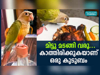 സംക്രാന്തിയിൽ നിന്നും കാണാതായ മിട്ടുവിനെ തേടി കുടുംബം