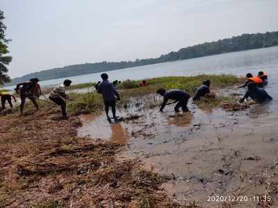 കോട്ടേകായലിനെ മരണ ചുഴിയിലേക്ക് വിട്ടു കൊടുക്കില്ല; യുവാക്കളുടെ പരിശ്രമം 500 ദിനങ്ങൾ പിന്നിടുന്നു