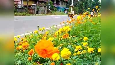 ഈ യാത്ര ആരും മറക്കില്ല; കണ്ണിനും മനസിനും കുളിര്‍മയേകി പാതയോരത്തെ പൂക്കള്‍!