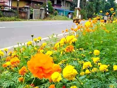 ഈ യാത്ര ആരും മറക്കില്ല; കണ്ണിനും മനസിനും കുളിര്‍മയേകി പാതയോരത്തെ പൂക്കള്‍!