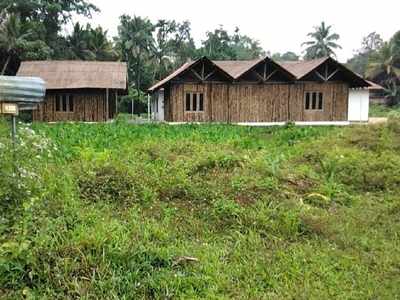 നിര്‍മ്മാണ പ്രവര്‍ത്തനങ്ങൾക്ക് ഫണ്ടില്ല; കാടുമൂടി കടമ്മനിട്ടയിലെ പടയണി ഗ്രാമം