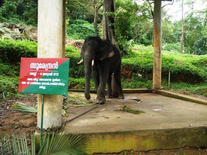 ​കനത്ത പ്രതിഷേധം