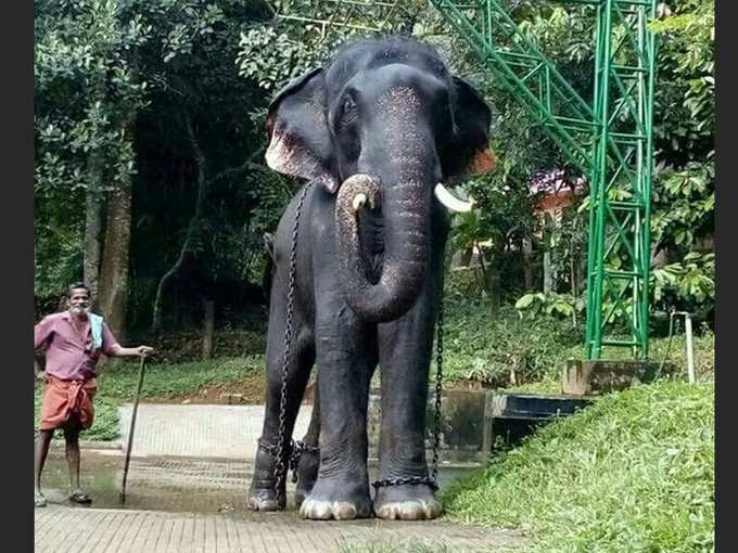 ​അപ്രതീക്ഷിത നാടുകടത്തൽ