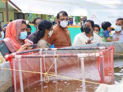 തിലാപ്പിയ മുതൽ മുഷി വരെ; മലപ്പുറത്ത് മത്സ്യകൃഷി വ്യാപകമാകുന്നു; ജില്ലയിൽ 2440 മത്സ്യകര്‍ഷകര്‍!