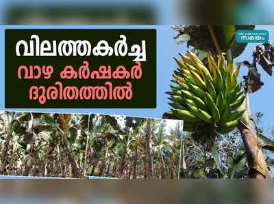 വിലത്തകര്‍ച്ച, വാഴ കര്‍ഷകര്‍ ദുരിതത്തിൽ