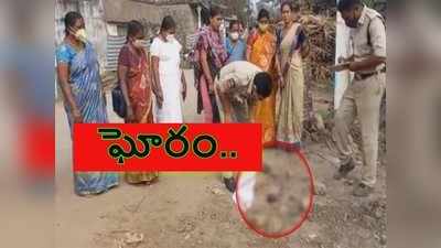 పశ్చిమ గోదావరిలో రక్తం మరిగే ఘటన: పొదల్లో బిడ్డను కని పడేస్తే.. కుక్కలు..!