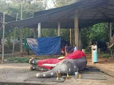 ആനപ്രേമികൾക്ക് തീരാദുഖം... ആരായിരുന്നു മംഗലാംകുന്ന് കർണൻ?