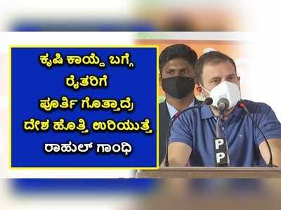 ಕೃಷಿ ಕಾಯ್ದೆ ಬಗ್ಗೆ ರೈತರಿಗೆ ಪೂರ್ತಿ ಗೊತ್ತಾದ್ರೆ ದೇಶ ಹೊತ್ತಿ ಉರಿಯುತ್ತದೆ: ರಾಹುಲ್ ಗಾಂಧಿ