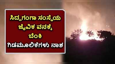 ವಿಡಿಯೋ: ಸಿದ್ದಗಂಗಾ ಸಂಸ್ಥೆಯ ಜೈವಿಕ ವನಕ್ಕೆ ಬೆಂಕಿ; ಸಾಕಷ್ಟು ಸಂಖ್ಯೆಯಲ್ಲಿ ಗಿಡಮೂಲಿಕೆ ನಾಶ