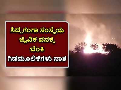 ವಿಡಿಯೋ: ಸಿದ್ದಗಂಗಾ ಸಂಸ್ಥೆಯ ಜೈವಿಕ ವನಕ್ಕೆ ಬೆಂಕಿ; ಸಾಕಷ್ಟು ಸಂಖ್ಯೆಯಲ್ಲಿ ಗಿಡಮೂಲಿಕೆ ನಾಶ