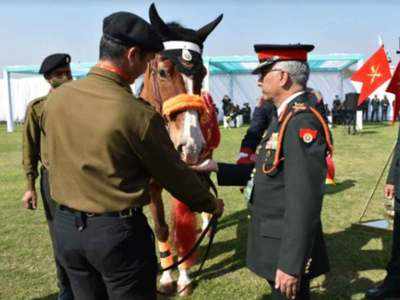 सेना के अनुभवी घोड़े रियो को मिला सबसे बड़ा सम्मान, आर्मी चीफ ने गाजर और गुड़  खिलाकर बढ़ाया हौसला