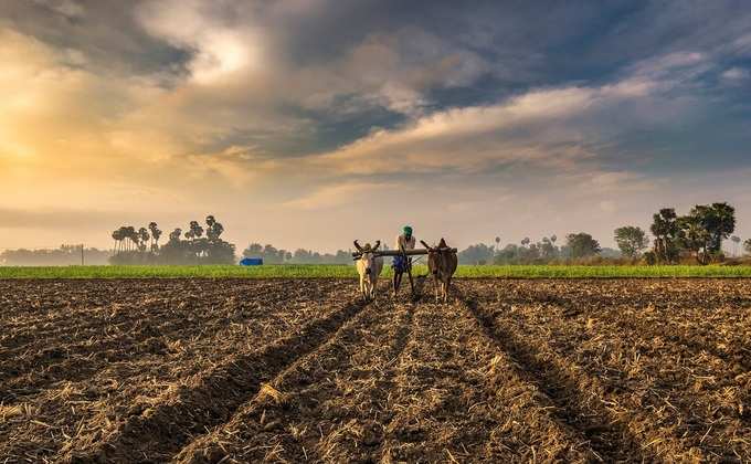 ಕೃಷಿ ವಲಯಕ್ಕೆ ಮಹತ್ವದ ಘೋಷಣೆಗಳಿವು