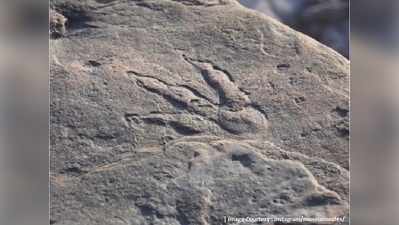 220 ಮಿಲಿಯನ್ ವರ್ಷಗಳಷ್ಟು ಹಿಂದಿನ ಡೈನೋಸಾರ್ ಹೆಜ್ಜೆಗುರುತು ಪತ್ತೆ: ಫೋಟೋ ವೈರಲ್